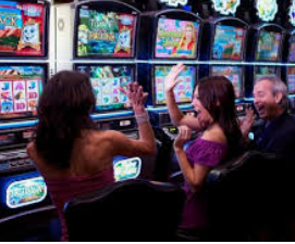 新葡萄(8883·AMG)最新版