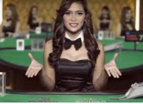 新葡萄(8883·AMG)手机版